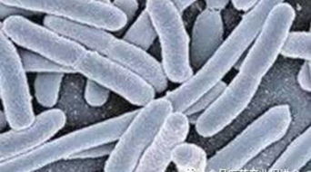 關(guān)于深入開展2016年全國安全用藥月活動的通知